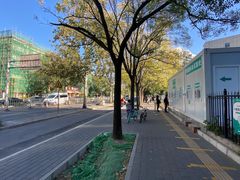 -中国中医科学院望京医院(院本部)
