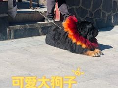 -羊卓雍措