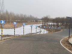-东郊湿地公园