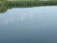 -太湖湖滨国家湿地公园-停车场