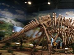 -自贡恐龙博物馆