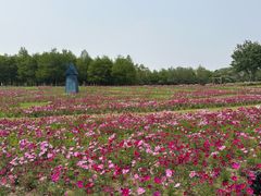 -东滩湿地公园观海楼餐厅