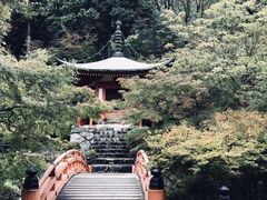 -醍醐寺