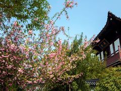 -东台西溪天仙缘景区