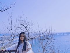 -星海湾跨海大桥