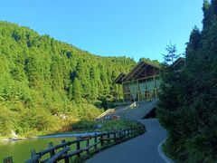 -武陵山森林公园