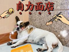 -华兴街自力面店