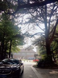 -上海瑞金洲际酒店·宴会厅