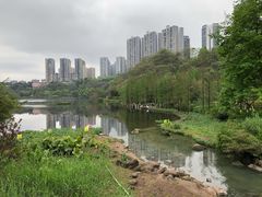 -重庆彩云湖湿地公园