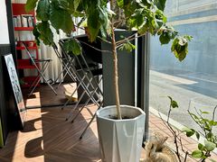 -72 COFFEE(东朝阳路店)
