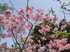 -桃花涧