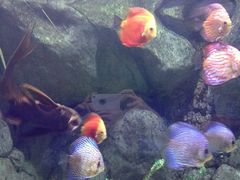 iphone_upload_pic-苏州海洋馆