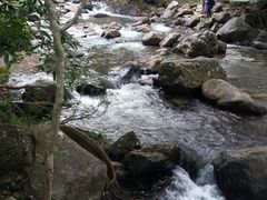 -广州市石门国家森林公园