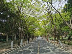 -八大关景区