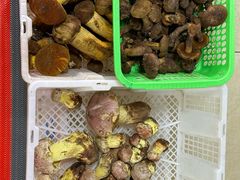 -双喜农庄·菌香园(安居家园店)