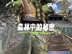 -霸王岭国家森林公园