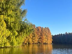 -上海海湾国家森林公园