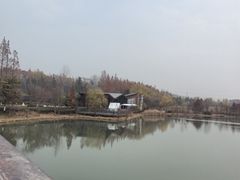 -昆山城市生态森林公园