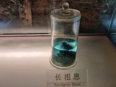 -青岛葡萄酒博物馆