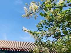 -恭王府博物馆