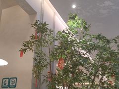 -Aqua Oasis 水天堂(太湖中心mall店)