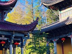 -九华山风景区