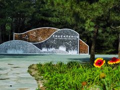 -翠湖国家城市湿地公园