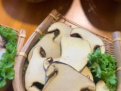 -民食香·腊排骨野生菌美食(木府店)