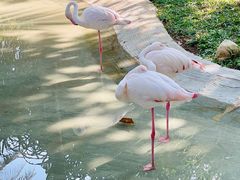 -三亚蜈支洲岛旅游区