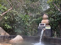 -西安国际创新人才交流中心•药浴温泉