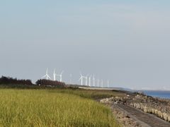 -奉贤海滩