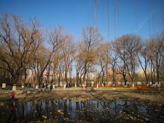 -玲珑塔公园