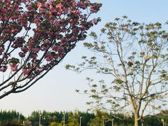-青岛海滨风景区