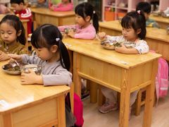 -天津蜂巢幼儿园·托育