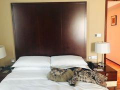 -上海龙之梦万丽酒店