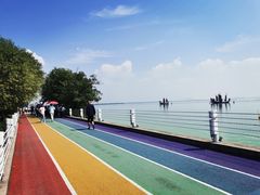 -贡湖湾湿地公园