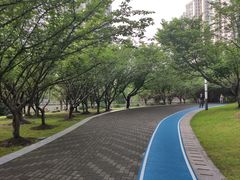 -苏州河梦清园环保主题公园