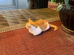 -李氏八大件老菜馆(万宝街店)