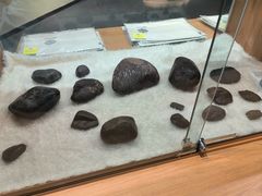 -青海藏文化博物院