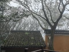 -普陀山慧济禅寺