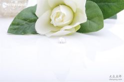 _DSC2297-威德钻石-克拉钻大本营(南京东路店)