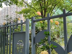 -杭州观成实验学校