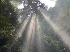 -莫里热带雨林景区
