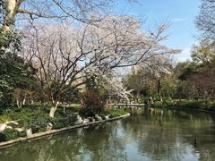 -杭百味·大众精选杭帮菜(西湖音乐喷泉店)