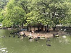 -黔灵山公园