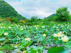 -云漫湖生态度假公园