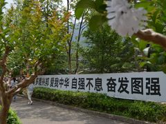 -北川老县城地震遗址