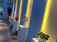 -爱氧森林·日本兴百世SHENPIX微高压氧舱