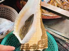 -吴记富苑(朝阳店)