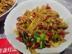 鸭掌筋-壹盏灯(惠农店)